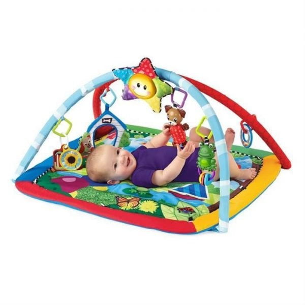 Baby Einstein Salteluta De Activitati Omida Si Prietenii
